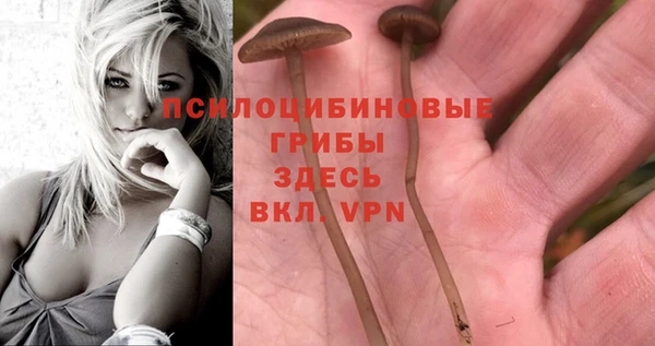 mdpv Заводоуковск