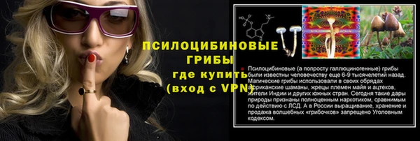 молекула духа Заволжье