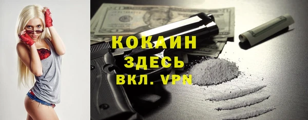 mdpv Заводоуковск