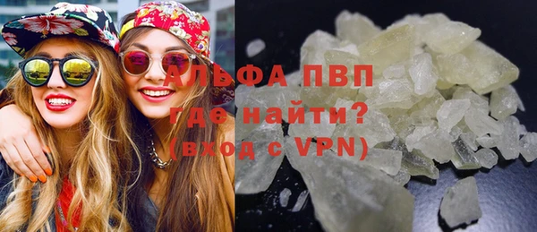 молекула духа Заволжье