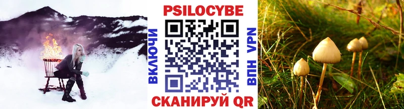 Купить закладки  Сибай  Псилоцибиновые грибы Psilocybe 